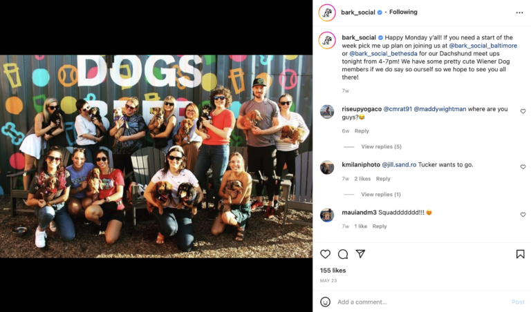 Bark Social Dog Event